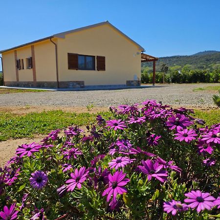 Agriturismo Fusini Magliano in Toscana Zewnętrze zdjęcie