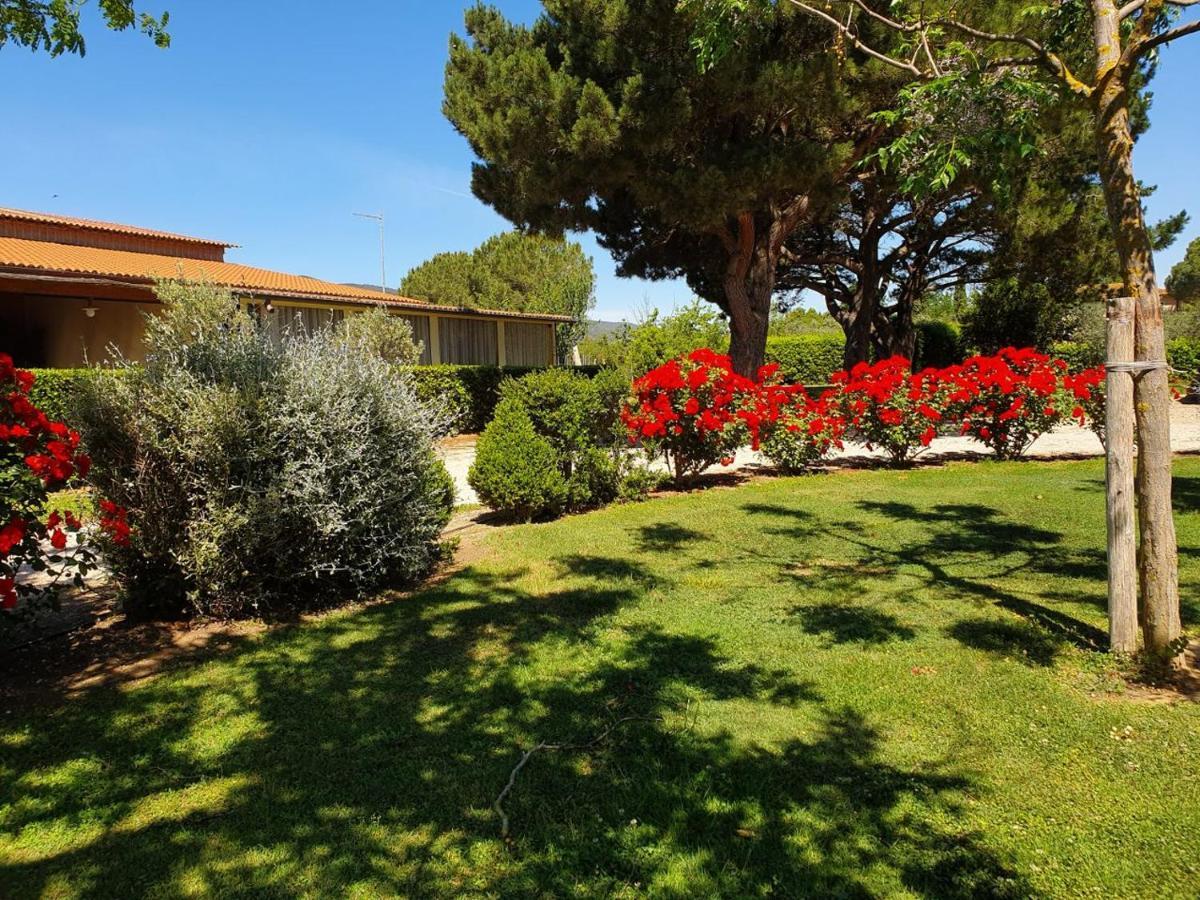 Agriturismo Fusini Magliano in Toscana Zewnętrze zdjęcie