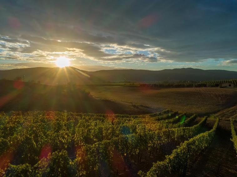 Agriturismo Fusini Magliano in Toscana Zewnętrze zdjęcie