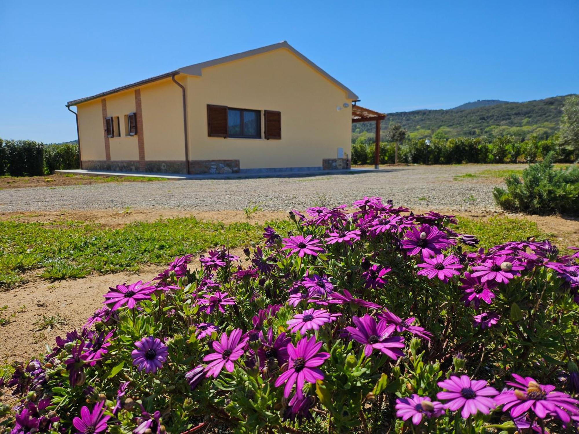 Agriturismo Fusini Magliano in Toscana Zewnętrze zdjęcie