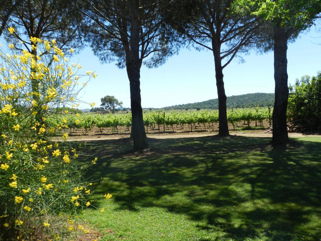 Agriturismo Fusini Magliano in Toscana Zewnętrze zdjęcie