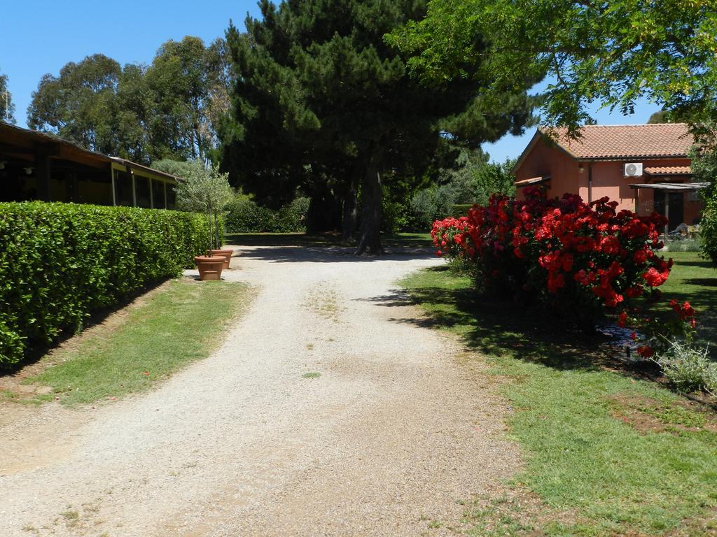 Agriturismo Fusini Magliano in Toscana Zewnętrze zdjęcie