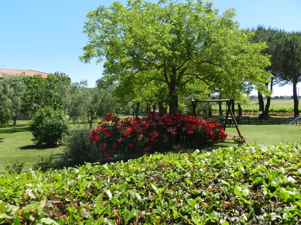 Agriturismo Fusini Magliano in Toscana Zewnętrze zdjęcie