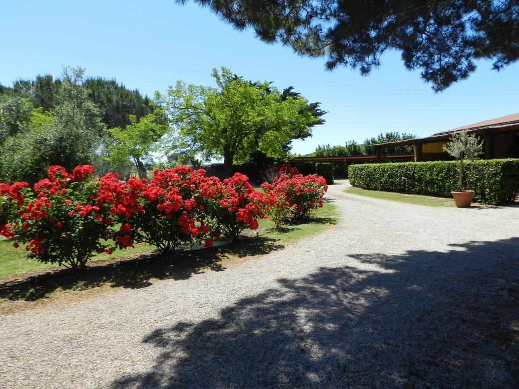 Agriturismo Fusini Magliano in Toscana Zewnętrze zdjęcie