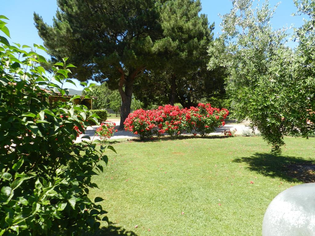 Agriturismo Fusini Magliano in Toscana Zewnętrze zdjęcie