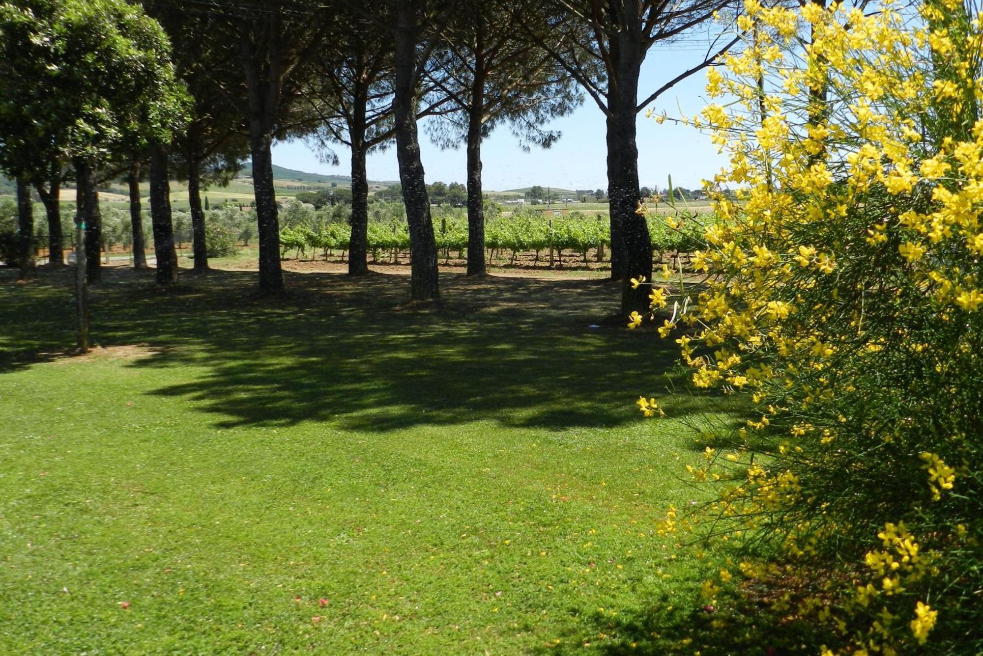 Agriturismo Fusini Magliano in Toscana Zewnętrze zdjęcie