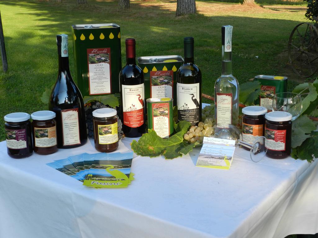 Agriturismo Fusini Magliano in Toscana Zewnętrze zdjęcie