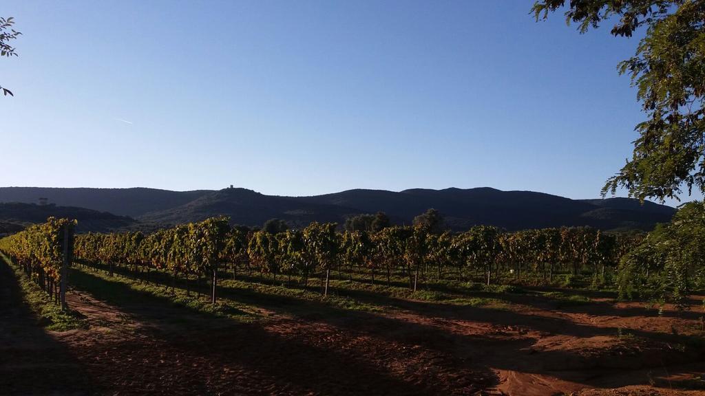 Agriturismo Fusini Magliano in Toscana Zewnętrze zdjęcie