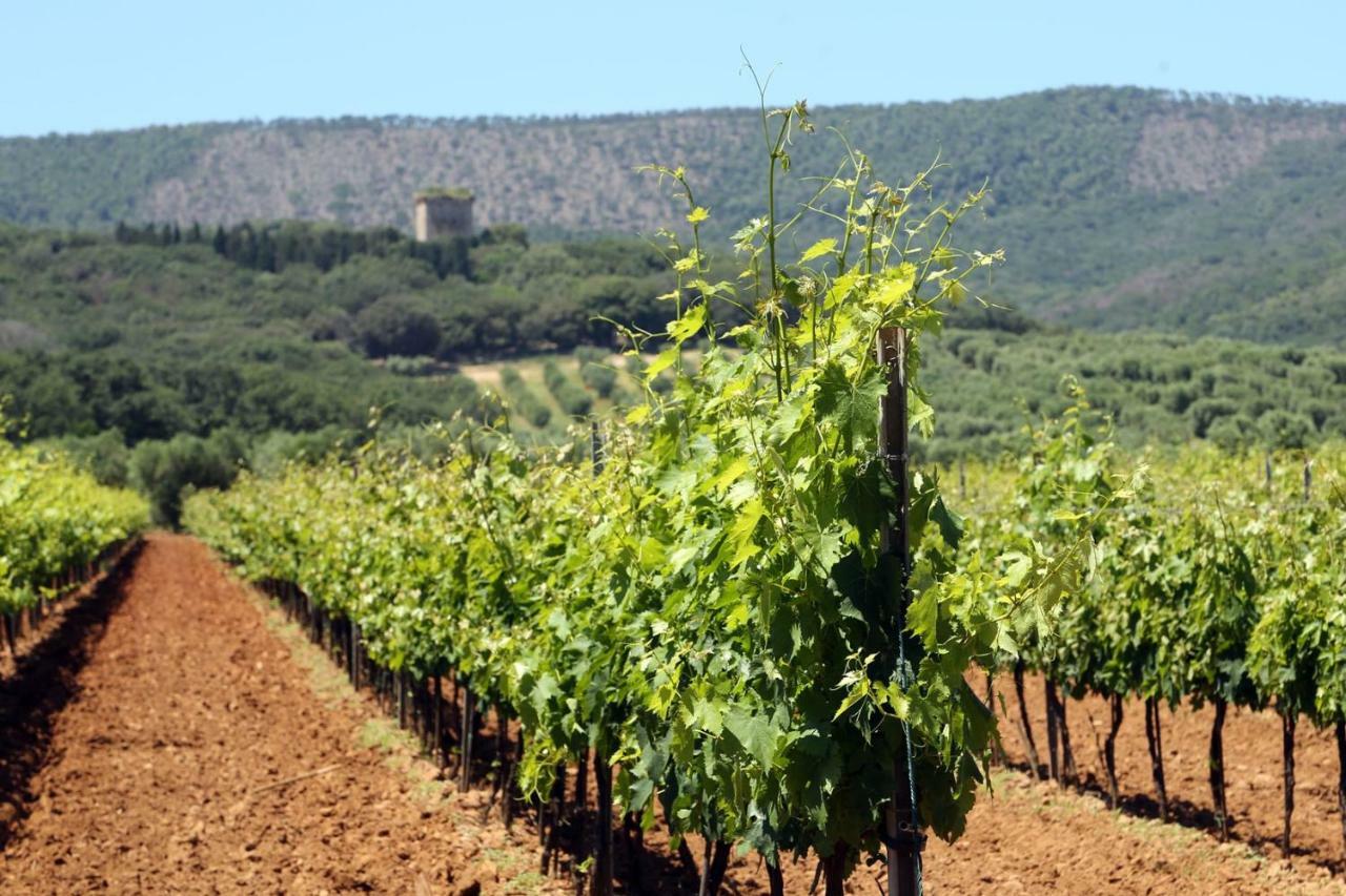 Agriturismo Fusini Magliano in Toscana Zewnętrze zdjęcie