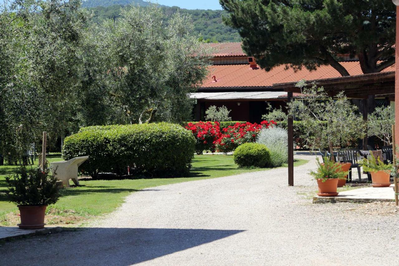 Agriturismo Fusini Magliano in Toscana Zewnętrze zdjęcie
