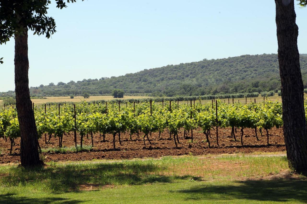 Agriturismo Fusini Magliano in Toscana Zewnętrze zdjęcie