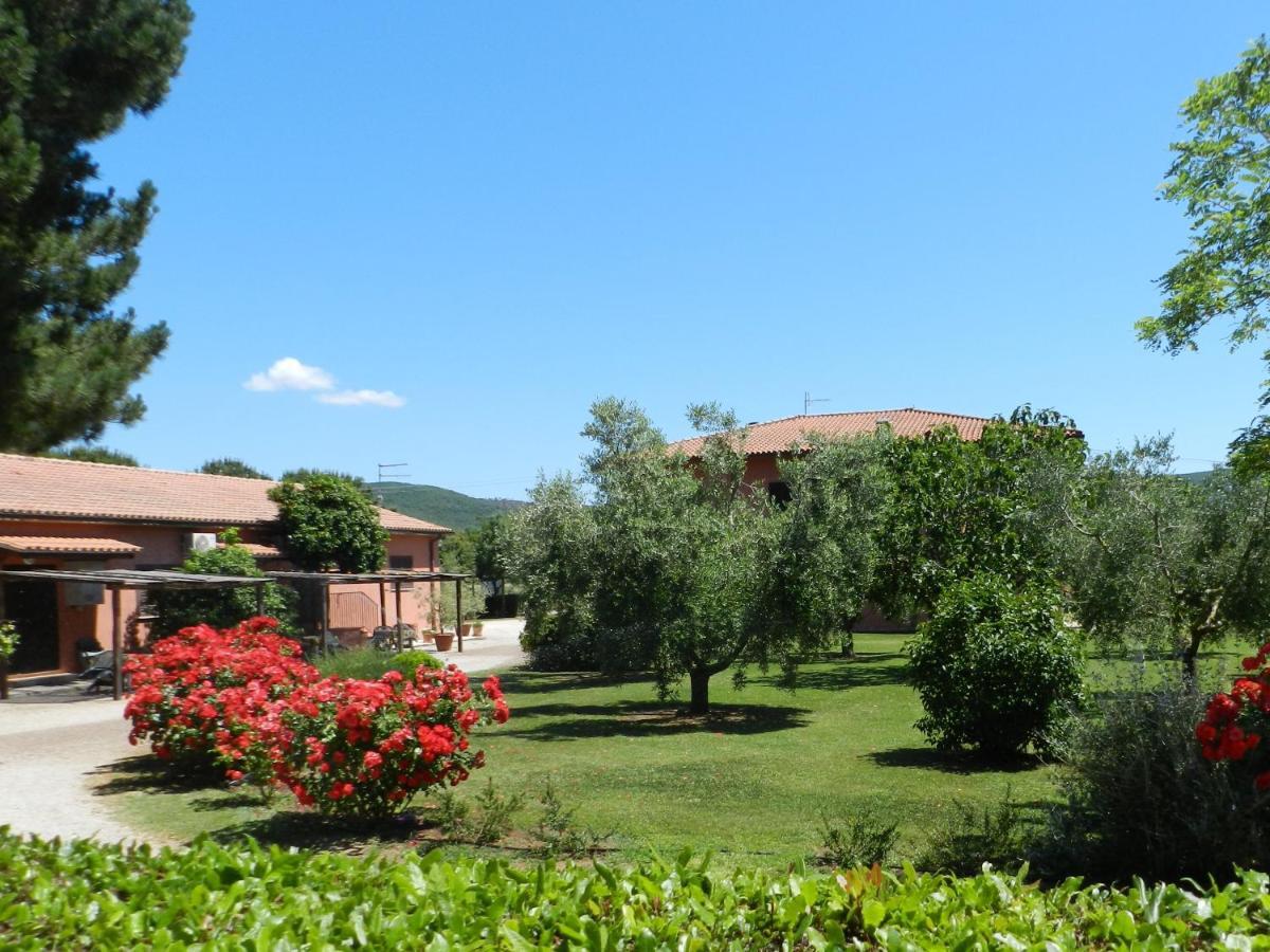 Agriturismo Fusini Magliano in Toscana Zewnętrze zdjęcie