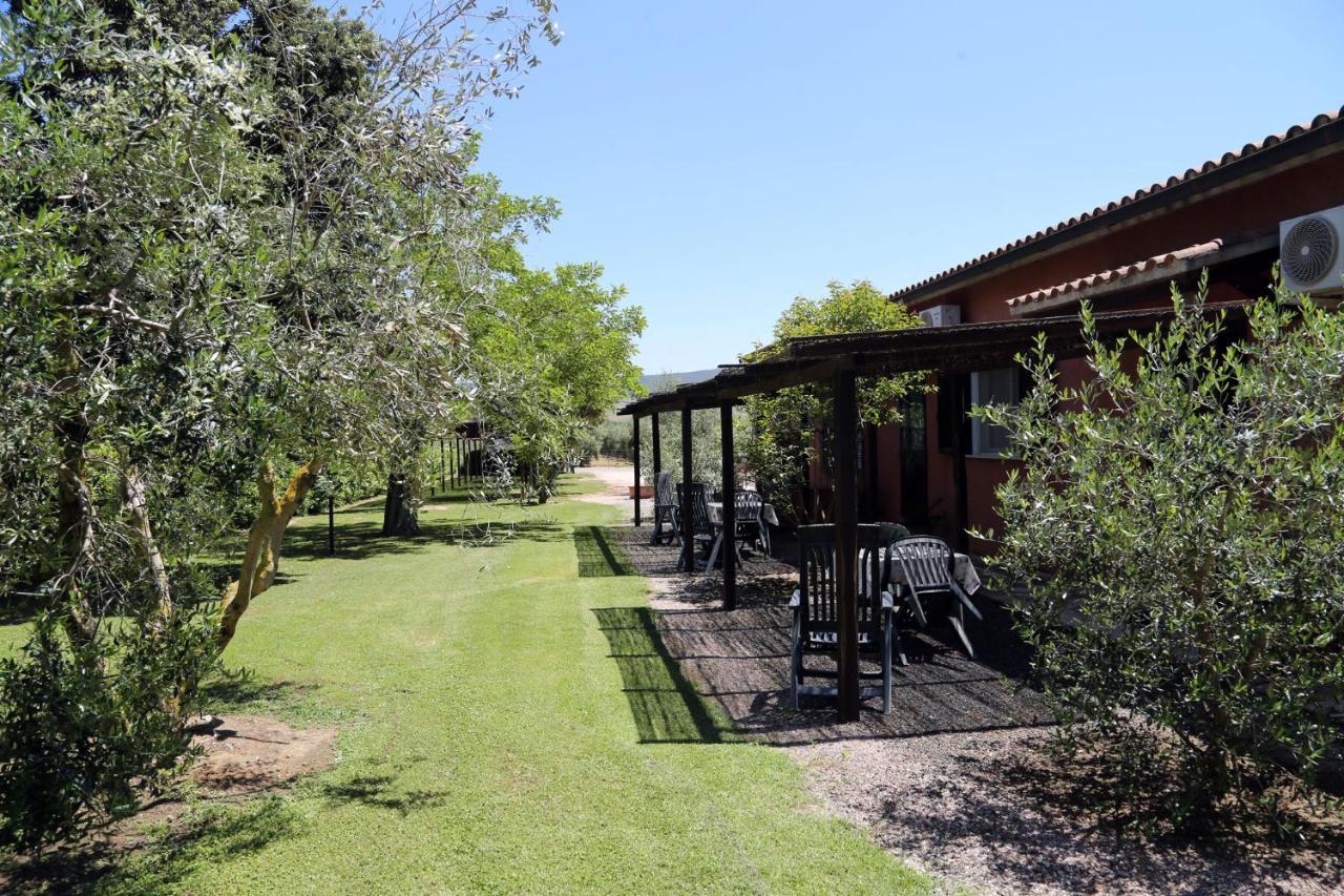 Agriturismo Fusini Magliano in Toscana Zewnętrze zdjęcie